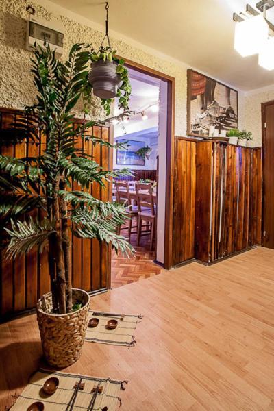 Villa Cztery Strony Swiata Zakopane Exteriér fotografie
