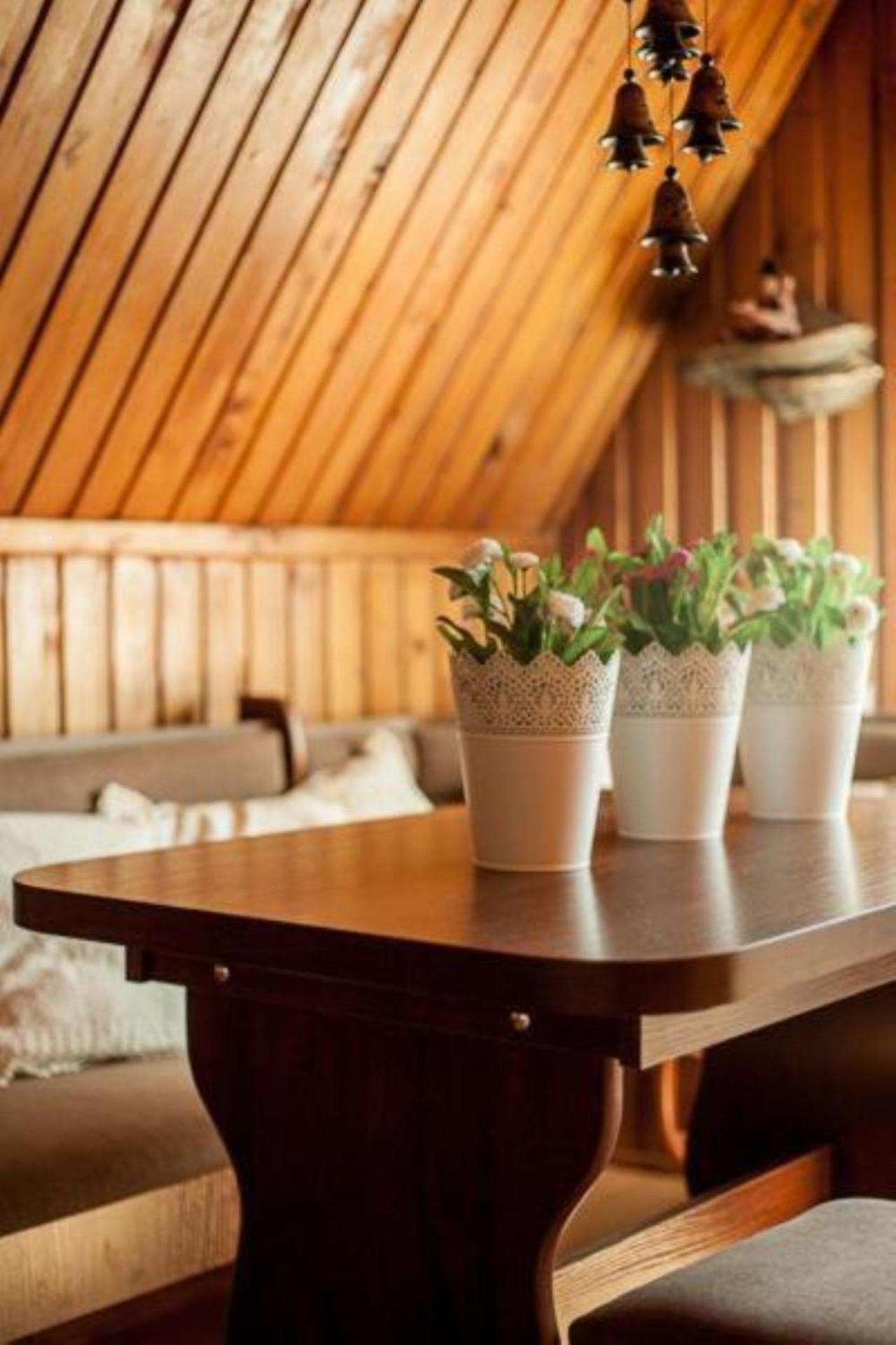 Villa Cztery Strony Swiata Zakopane Exteriér fotografie